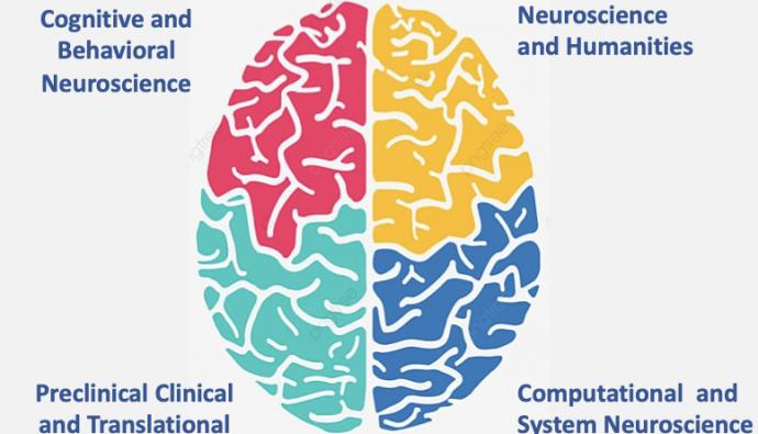 Logo PhD neuroscienze
